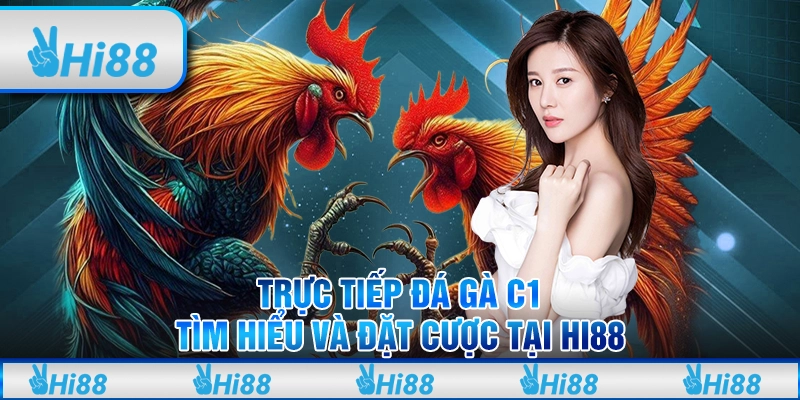 Trực tiếp đá gà c1 - Tìm hiểu và đặt cược tại hi88