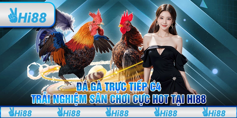 Đá gà trực tiếp c4 - Trải nghiệm sân chơi cực hot tại hi88