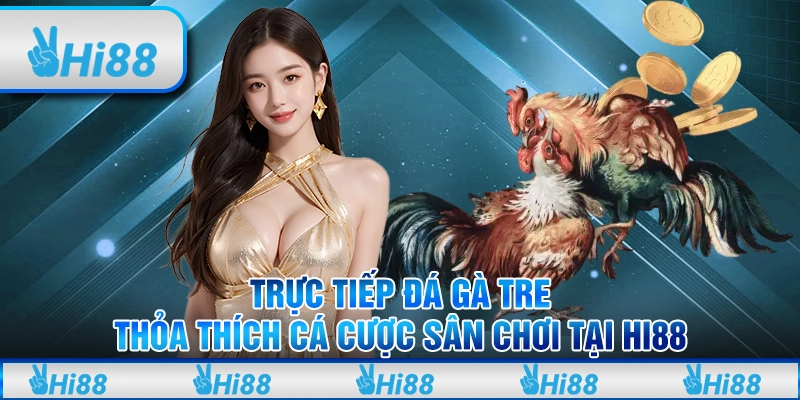 Trực tiếp đá gà tre - Thỏa thích cá cược sân chơi tại hi88