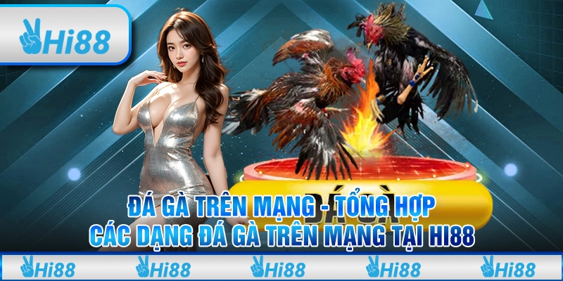 Đá gà trên mạng - Tổng hợp các dạng đá gà trên mạng tại hi88