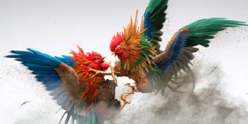 Ưu điểm khi chơi đá gà trực tiếp hi88