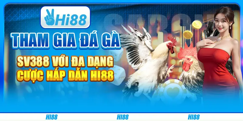 Tham gia đá gà sv388 với đa dạng cược hấp dẫn nhà cái hi88