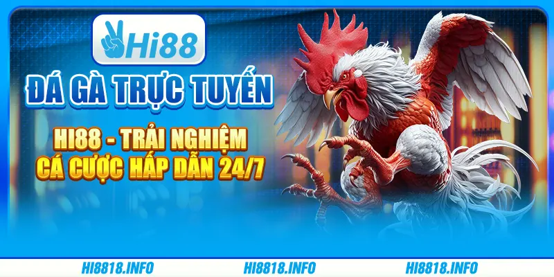 Đá Gà Trực Tuyến Hi88 - Trải Nghiệm Cá Cược Hấp Dẫn 24/7