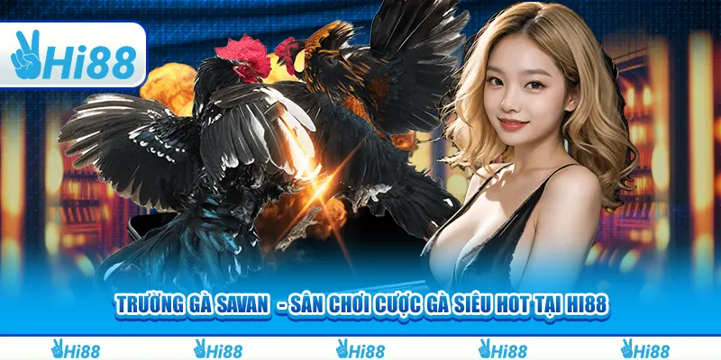 Trường gà Savan - Sân chơi cược gà siêu hot tại hi88