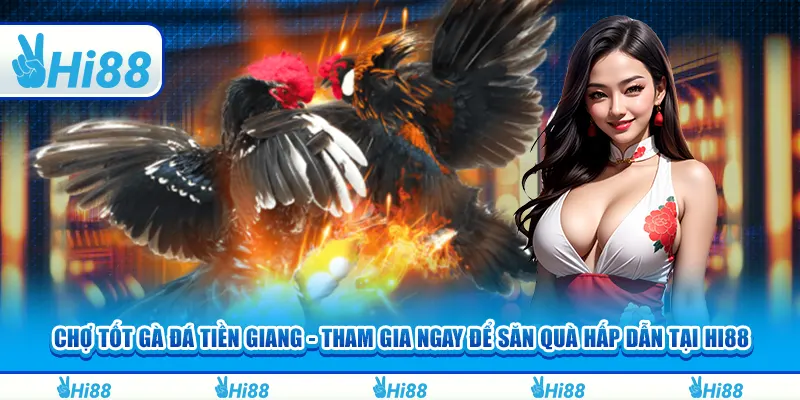 Chợ tốt gà đá tiền giang - Tham gia ngay để săn quà tại hi88