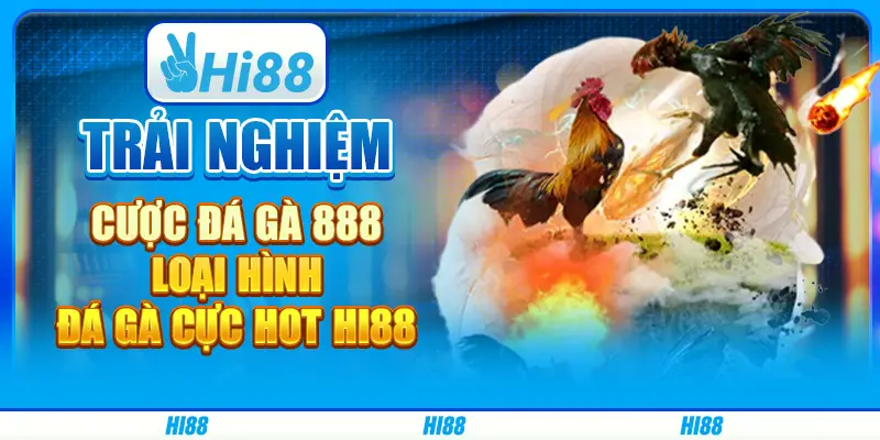 Trải nghiệm cược đá gà 888 loại hình đá gà cực hot HI88