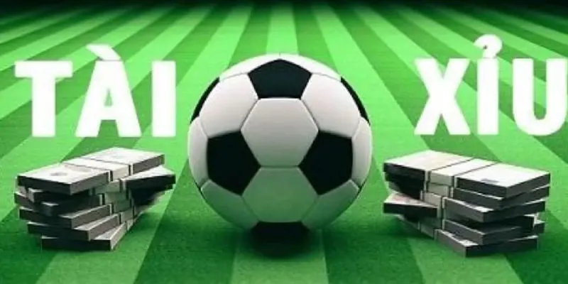 Khám phá các hình thức cược độc đáo