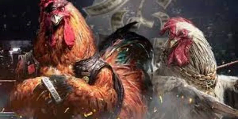 Đặc điểm nổi bật của trận đấu