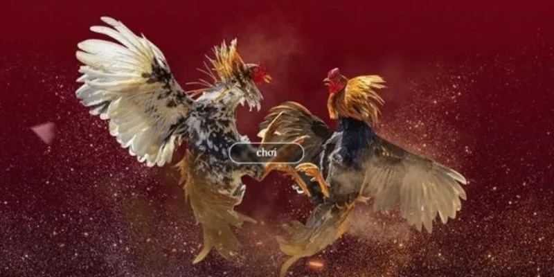 Ưu điểm nổi bật của Hi88