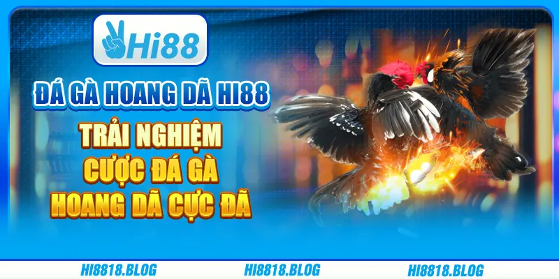 Đá Gà Hoang Dã Hi88 - Thử Thách Kịch Tính Và Đầy Hấp Dẫn