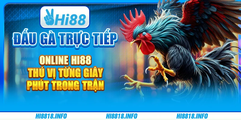 Đấu Gà Trực Tiếp Online Hi88- Thú Vị Từng Giây Phút Trong Trận