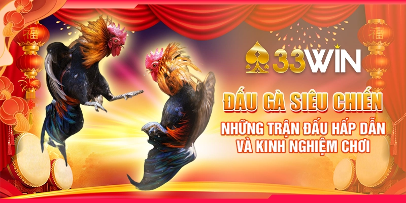 Đấu Gà Siêu Chiến - Những Trận Đấu Hấp Dẫn Và Kinh Nghiệm ChơiĐấu Gà Siêu Chiến - Những Trận Đấu Hấp Dẫn Và Kinh Nghiệm Chơi