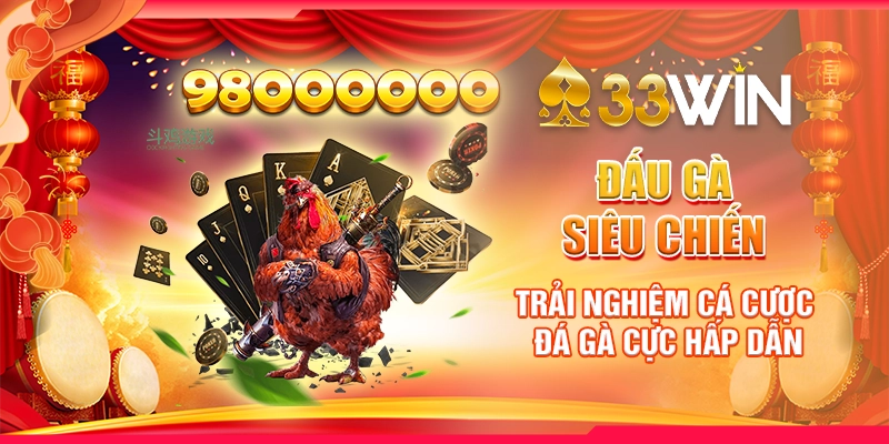 Đấu gà siêu chiến - Trải Nghiệm Cá Cược Đá Gà Cực Hấp Dẫn