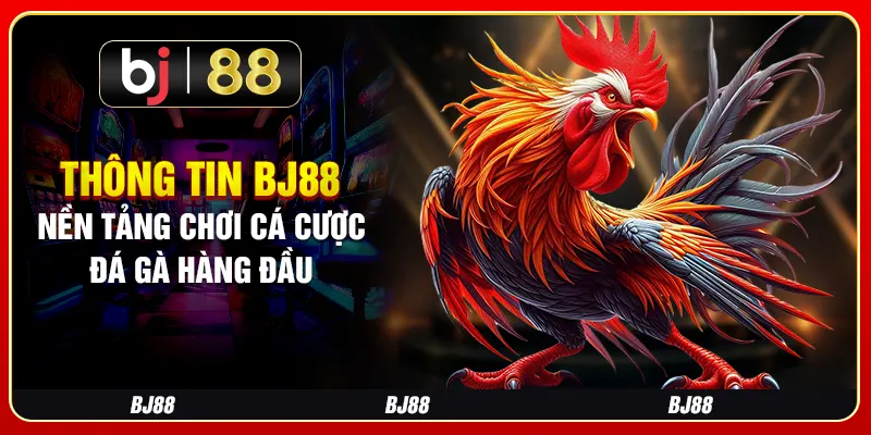 Thông Tin BJ88 - Nền Tảng Chơi Cá Cược Đá Gà Hàng Đầu