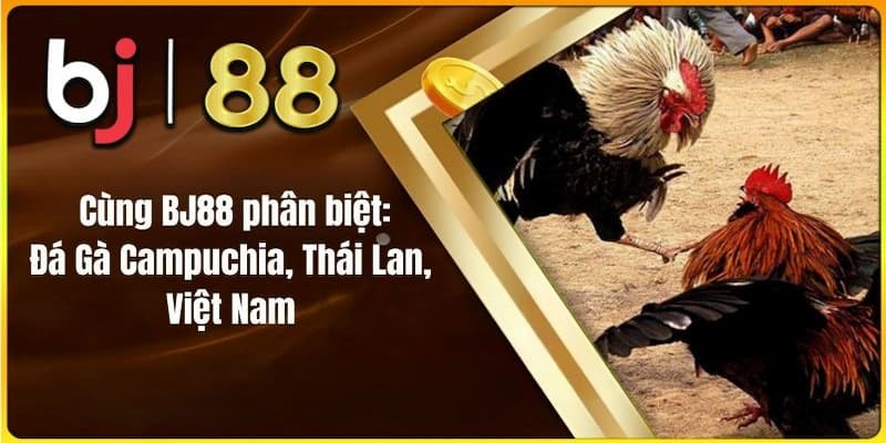 Đá gà BJ88 - Sân chơi cá cược đá gà đỉnh cao