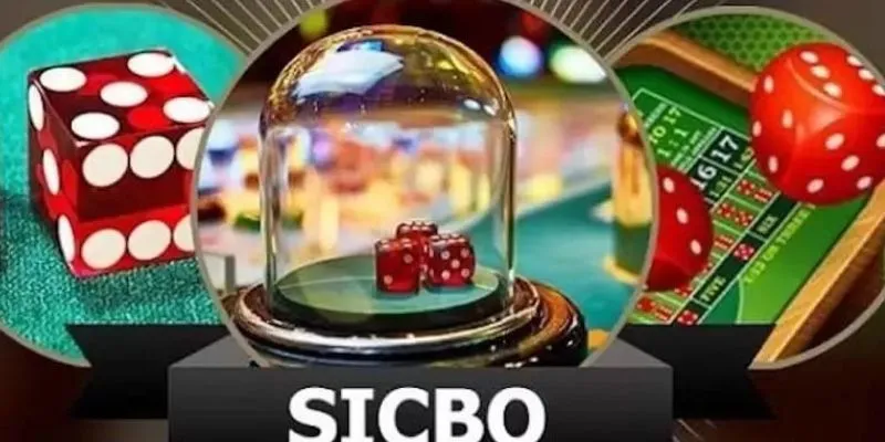 Hiểu rõ sicbo xúc xắc giúp bạn nắm bắt cơ hội thắng dễ dàng hơn.