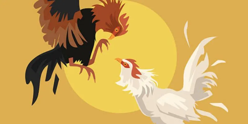 Chiến thuật hiệu quả giúp tối ưu hóa cơ hội thắng cược.