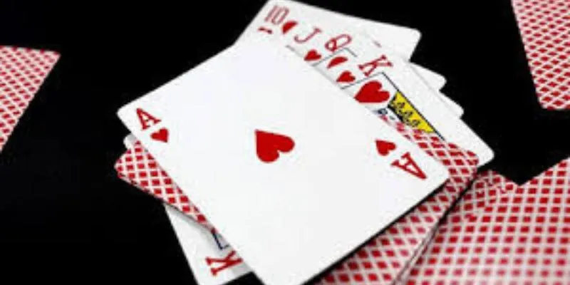 Các thuật ngữ phổ biến trong sâm lốc