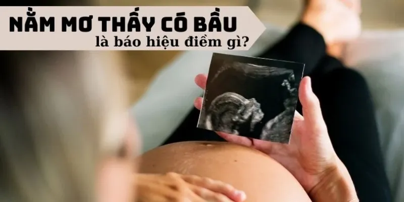 Ý nghĩa giấc mơ mang bầu